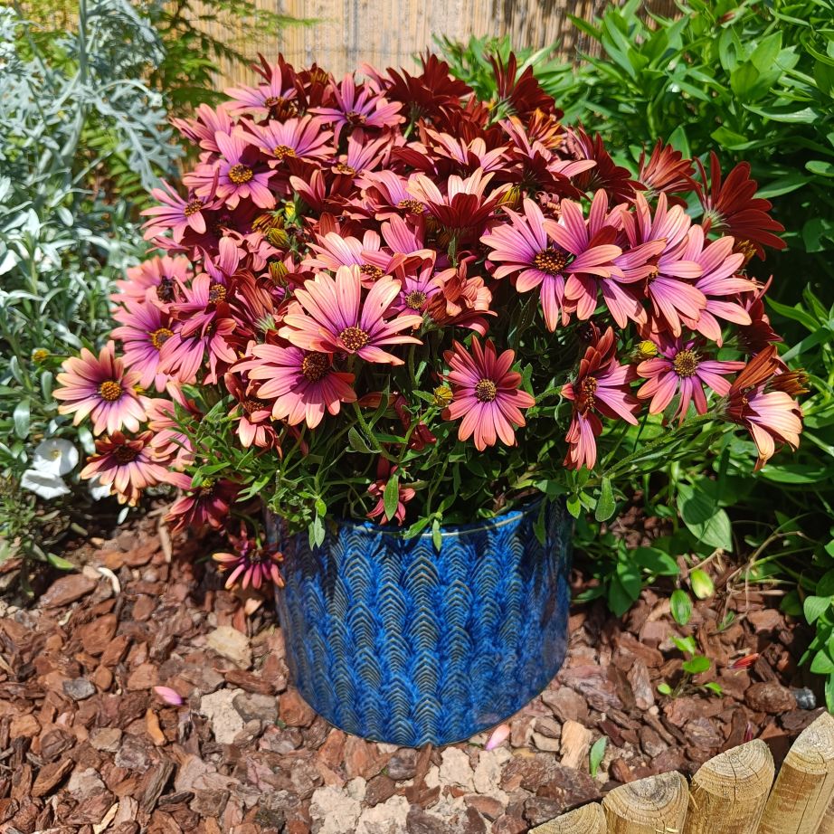 Fèndu, céramique décoration jardin