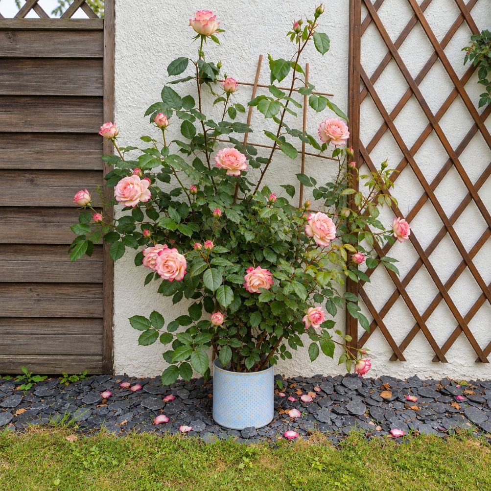 Fèndu, céramique décoration jardin