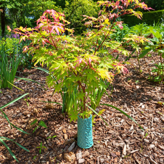 Fèndu, céramique décoration jardin
