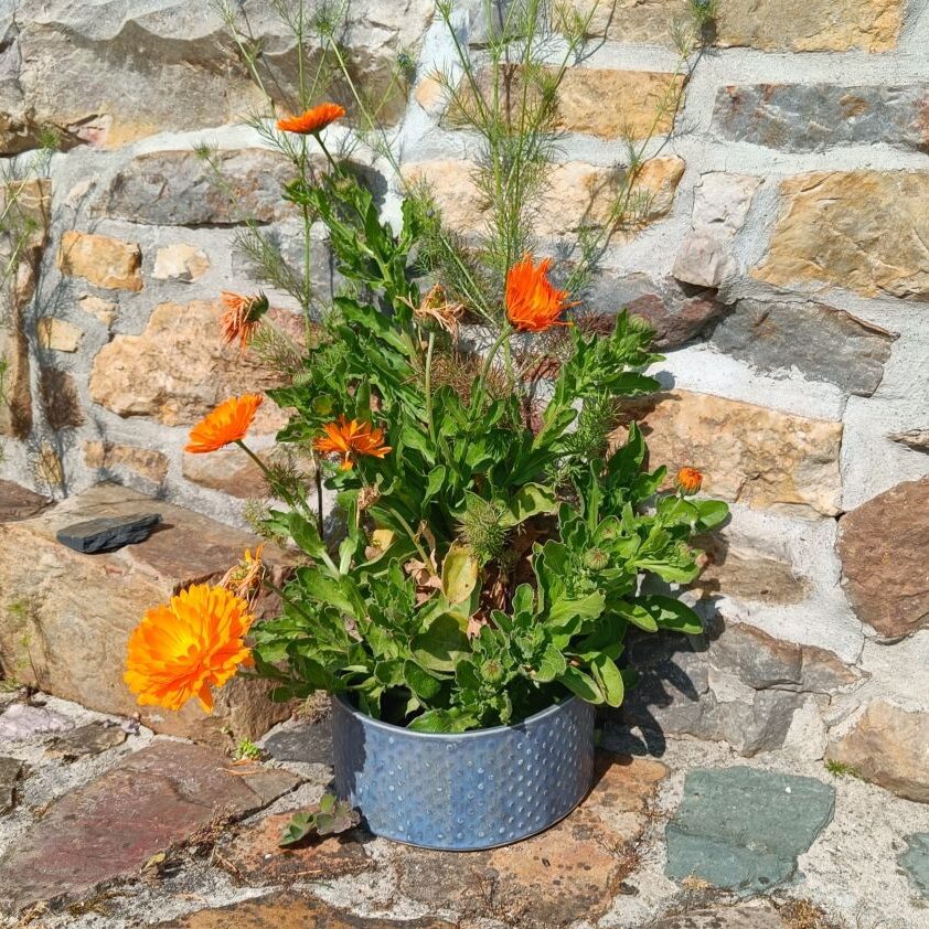 Fèndu, céramique décoration jardin