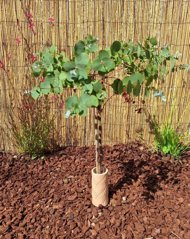 Fèndu jardin céramique poterie
